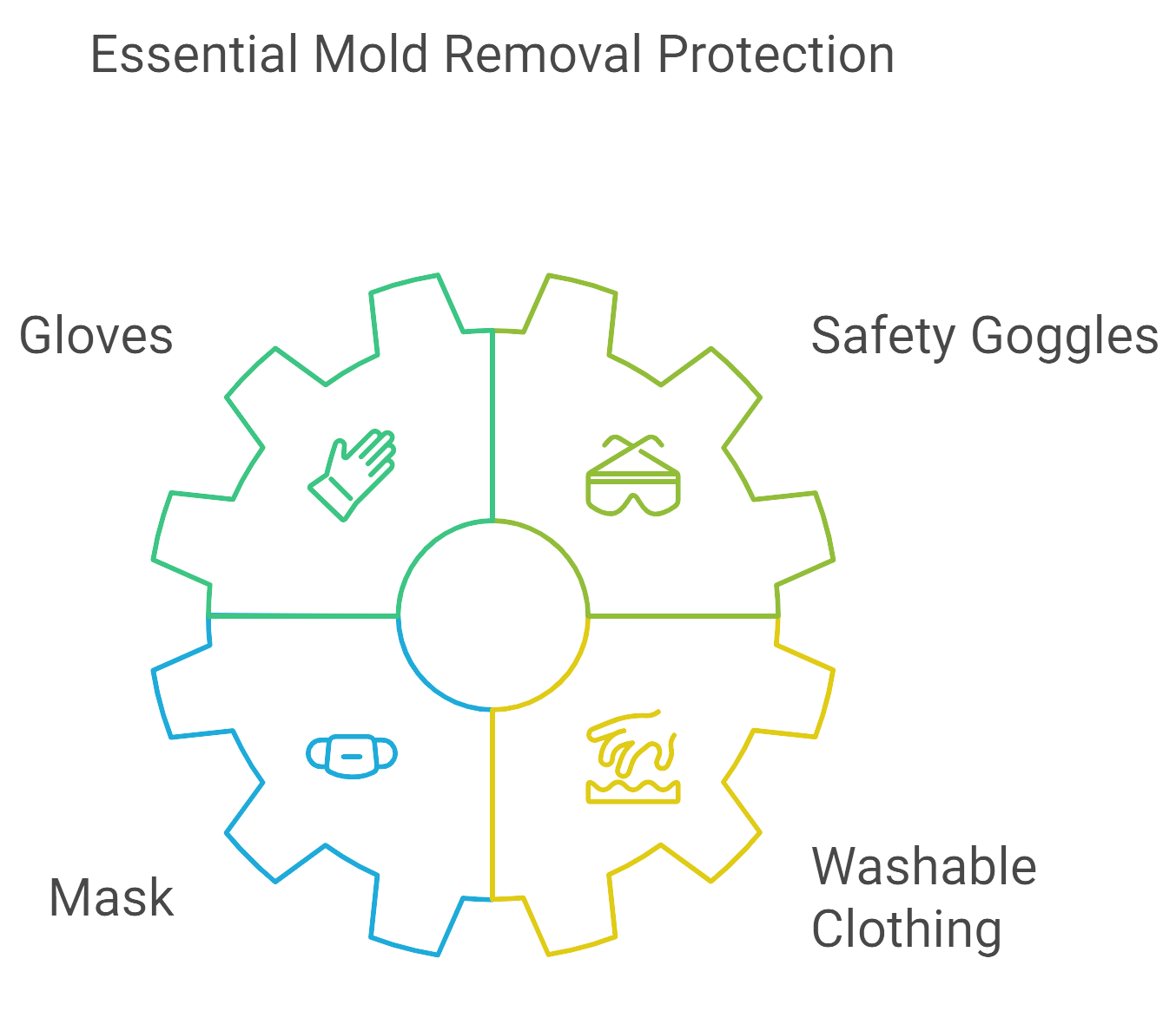 Essential mold removal protection gear, including masks and gloves, ensuring safety during mold remediation tasks.