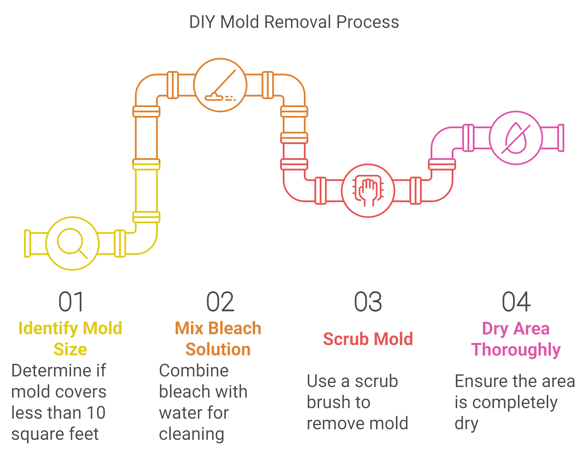 Image showing the step-by-step DIY mold removal process, including tools and techniques for effective cleaning.