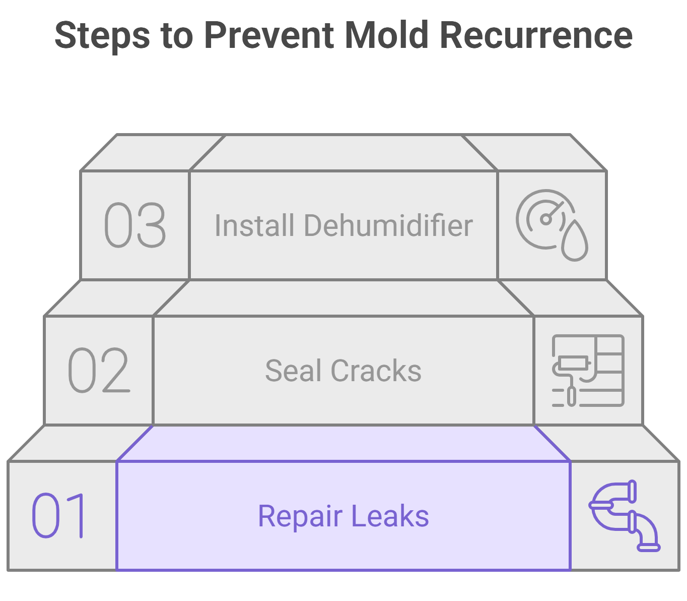 Visual guide illustrating effective steps to prevent mold growth in homes and buildings.