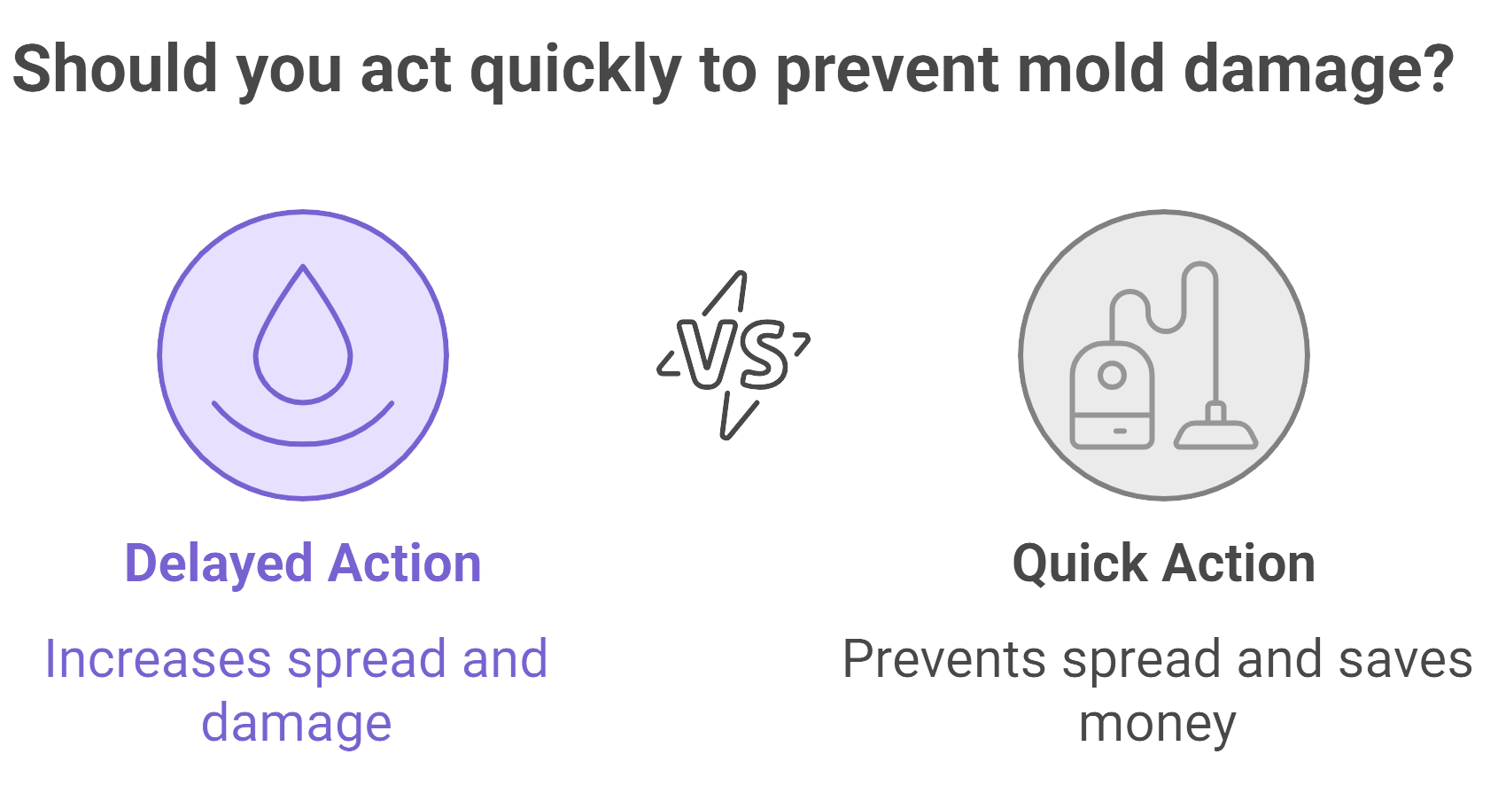 Image depicting urgency in preventing mold damage, highlighting the importance of quick action to protect property.